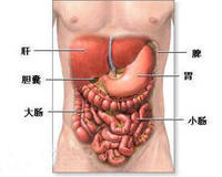 经常便秘都有什么原因