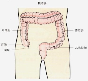 得了直肠炎需要注意什么？